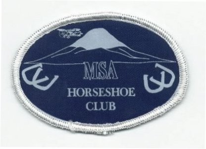 msa logo